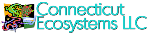 Connecticut Ecosystems LLC